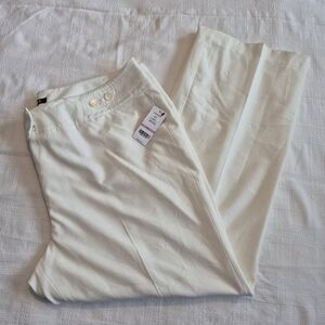 Chaus pants women's 22W Rich Vanilla lined dress pants NWT